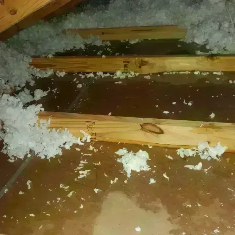 Attic Water Damage in Caro, MI